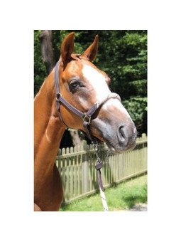 LICOL CUIR/CORDE RICHTAN