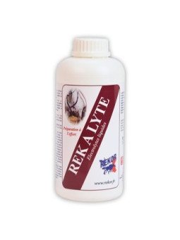 REK A LYTE SOLUTION REKOR