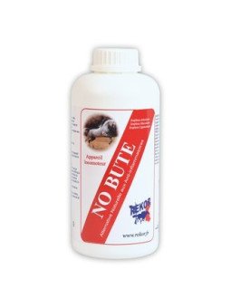 NO BUTE SOLUTION REKOR