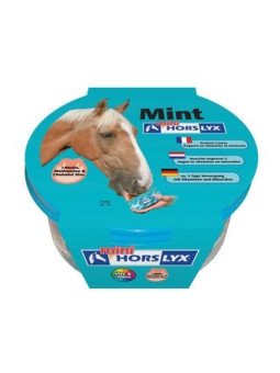 HORSLYX MINT