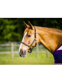 LICOL NORTON DIAMOND