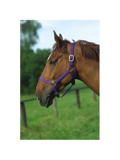 Drap Thérapie Ionique Horseware Rambo - Taille 3'0 Pour Shetland, Falabella, Poulain