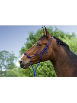 LICOL ETHOLOGIQUE DOUX