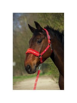 LICOL NYLON MOUTON SYNTHETIQUE