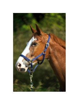 LICOL NYLON REGLABLE