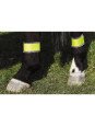 BANDAGE POUR CHEVAUX FLUO POSTERIEURS