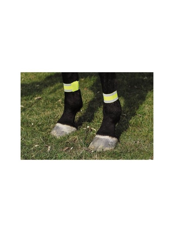 BANDAGE POUR CHEVAUX FLUO ANTERIEURS