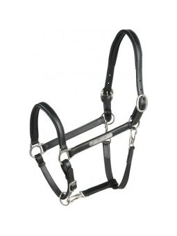 LICOL CUIR GROOM ERIC THOMAS PRO