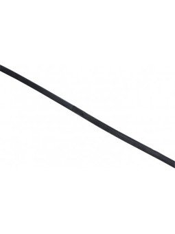 RENES HUNTER ERIC THOMAS PRO