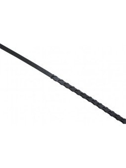 RENES BREDIES ERIC THOMAS PRO