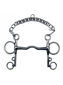 PELHAM PASSAGE DE LANGUE