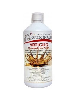 ARTIGLIO OFFICINALIS