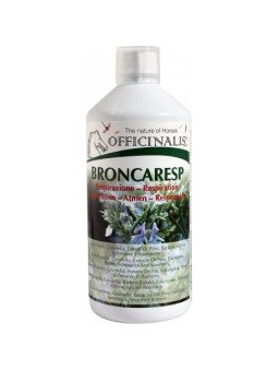 BRONCARESP OFFICINALIS