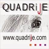 QUADRIJE EQUITATION